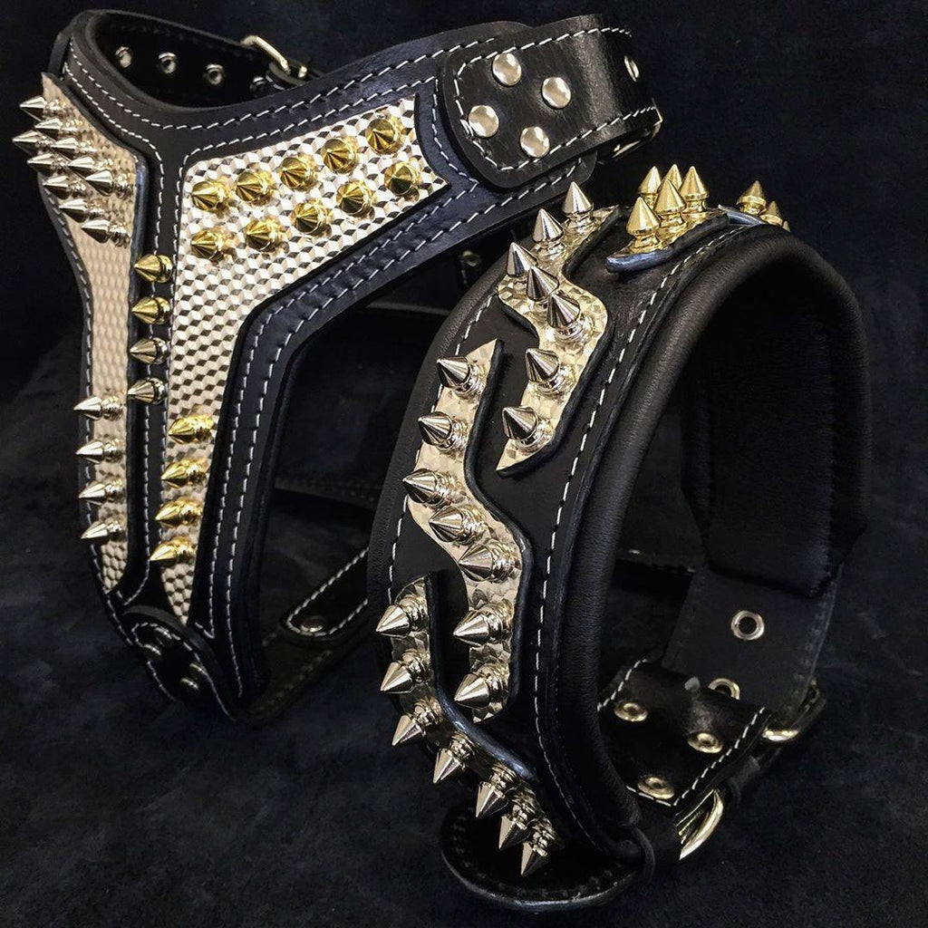 The ''Platinum'' collar-2