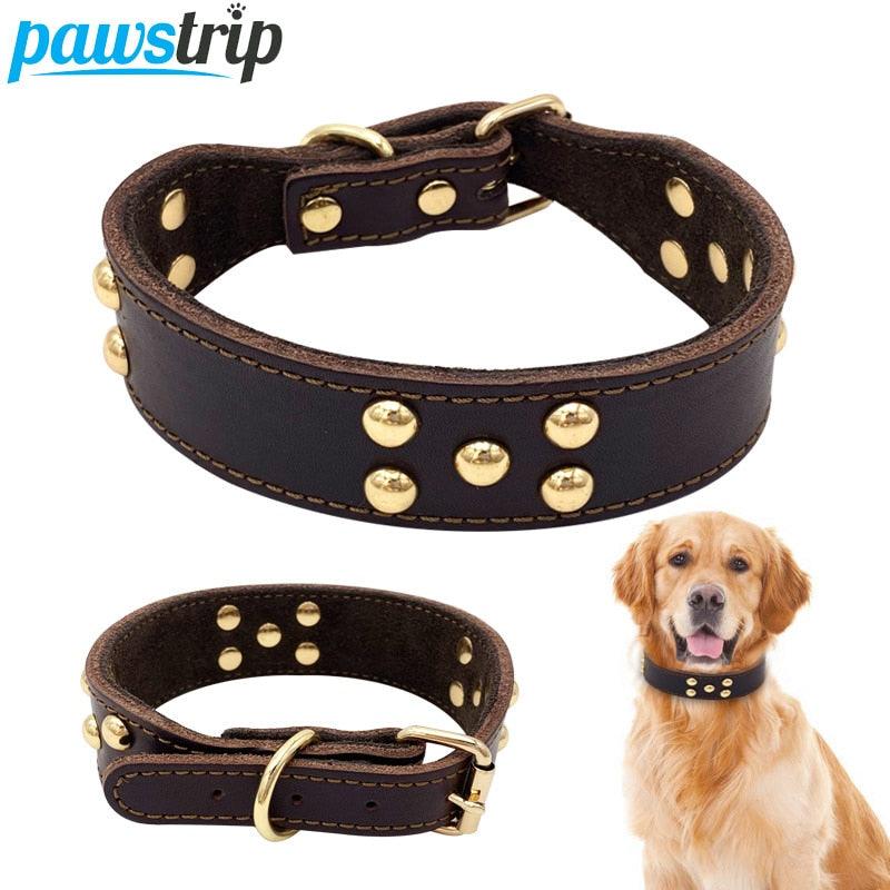Petpals Comfortfit Dog Collar-0